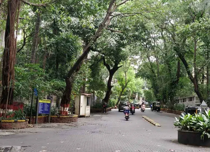 pali_hill_bandra_mumbai_bb2056c4b3